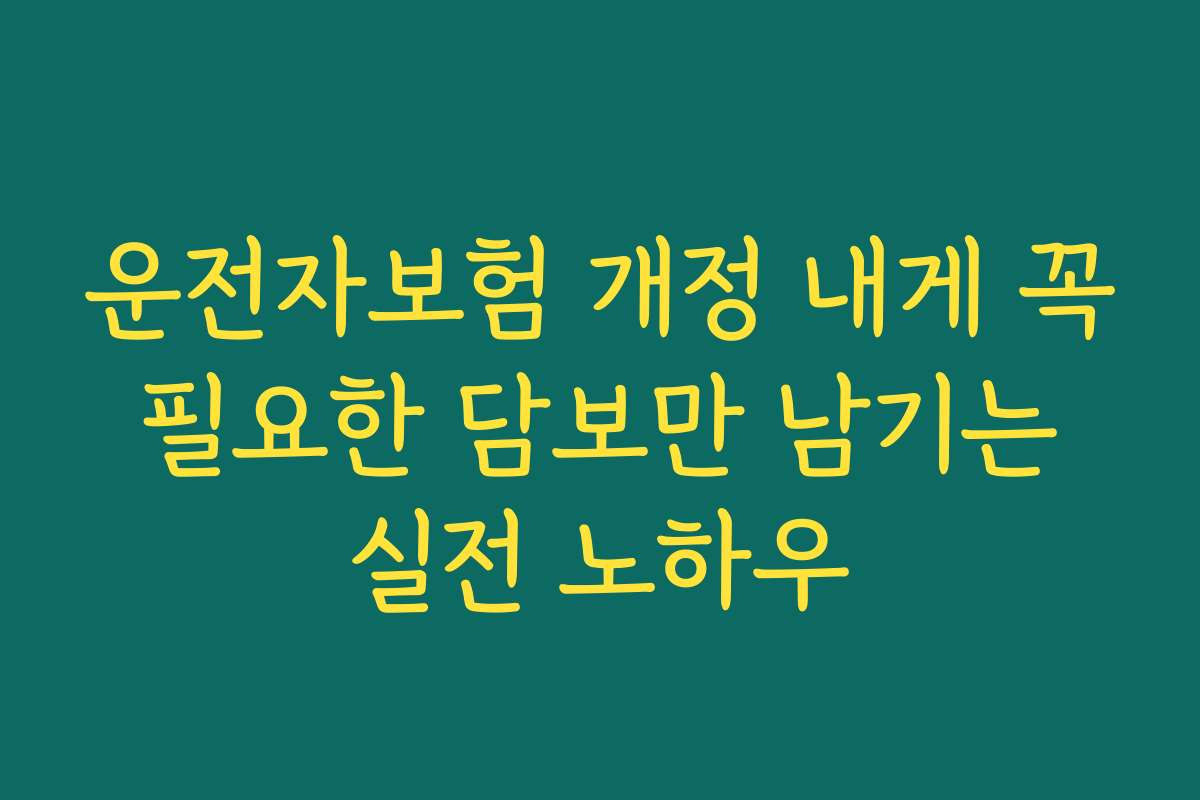 운전자보험 개정 내게 꼭 필요한 담보만 남기는 실전 노하우