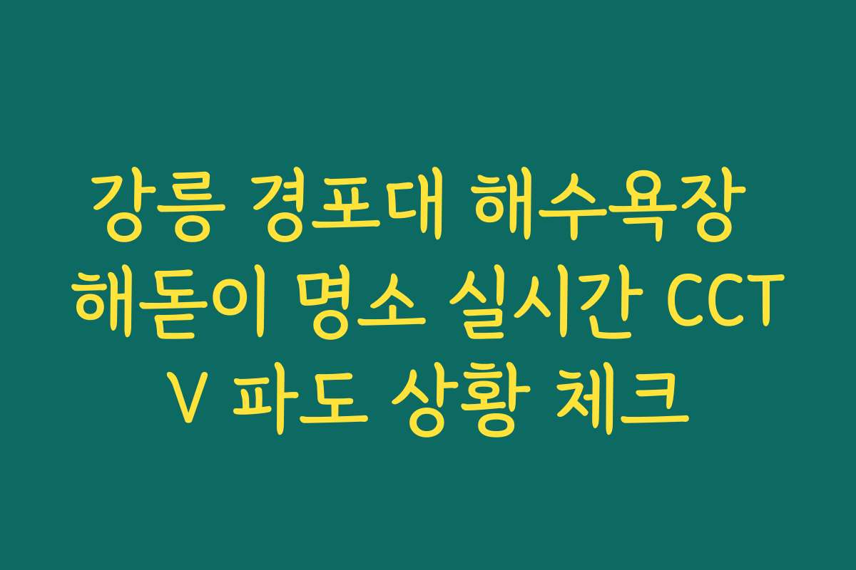 강릉 경포대 해수욕장 해돋이 명소 실시간 CCTV 파도 상황 체크