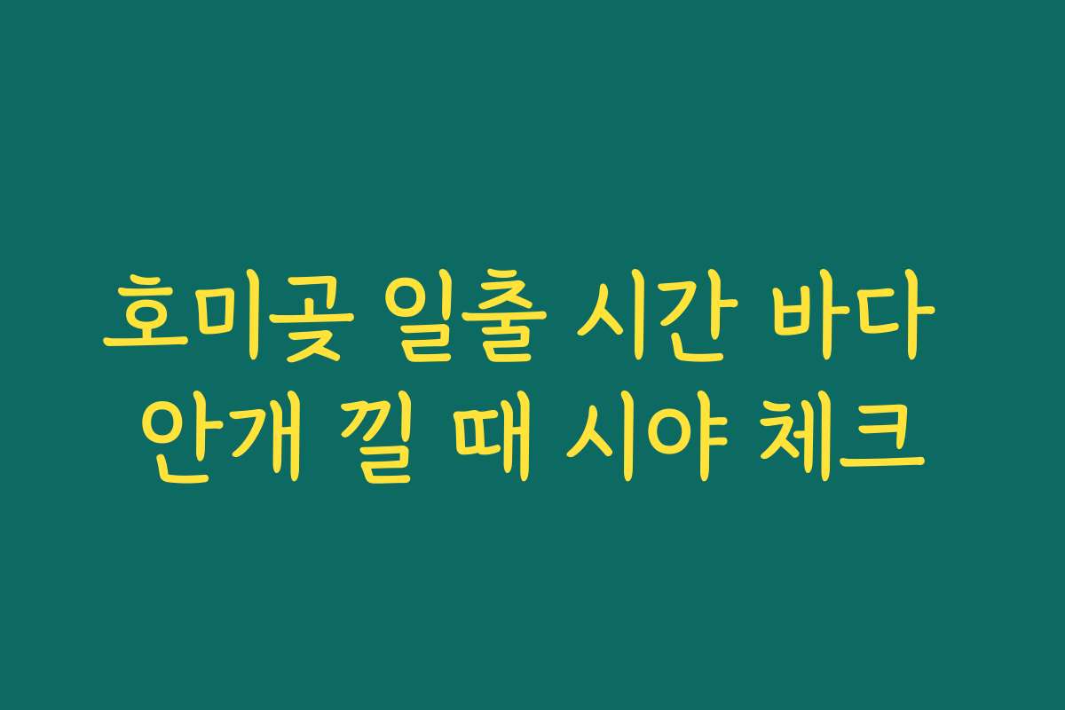 호미곶 일출 시간 바다 안개 낄 때 시야 체크