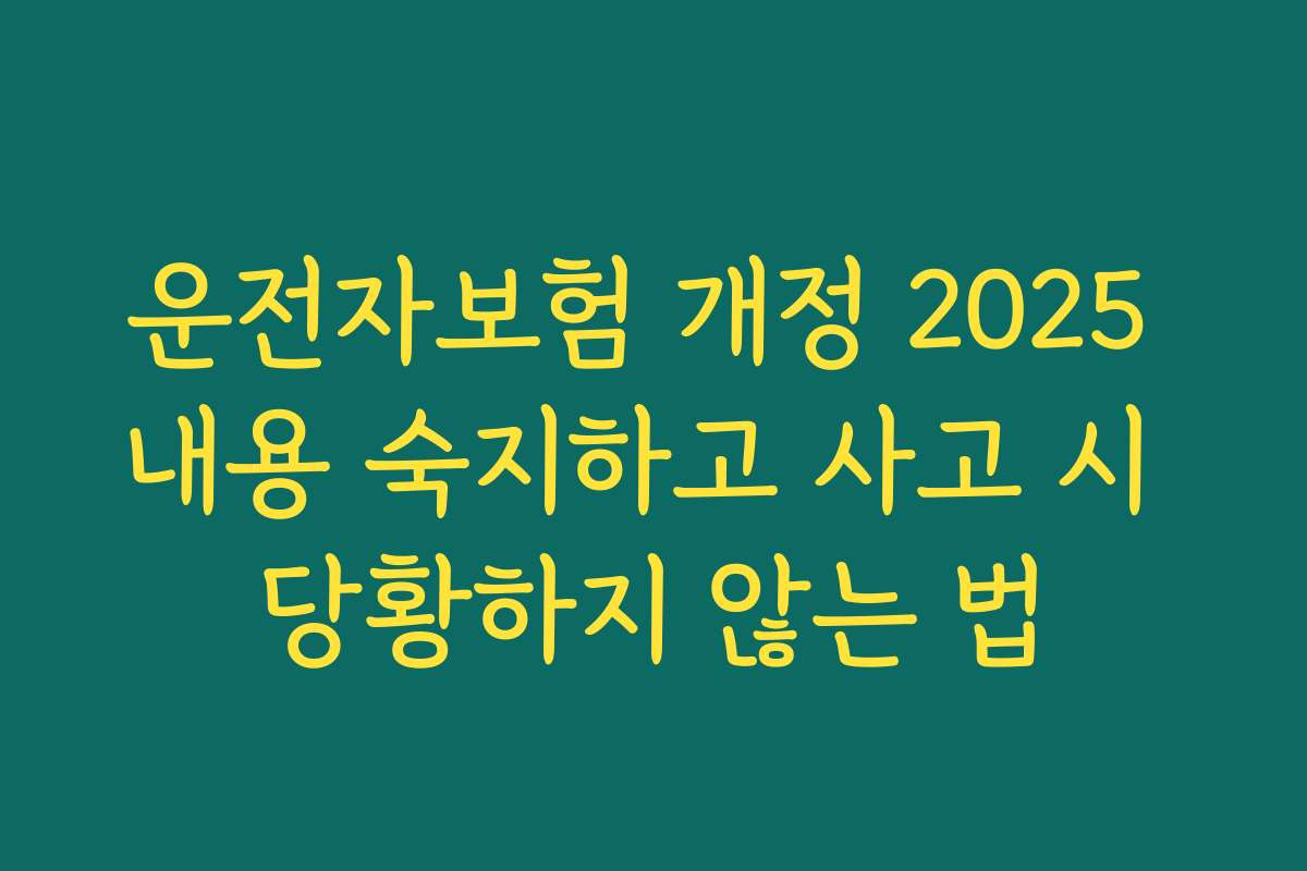 운전자보험 개정 2025 내용 숙지하고 사고 시 당황하지 않는 법