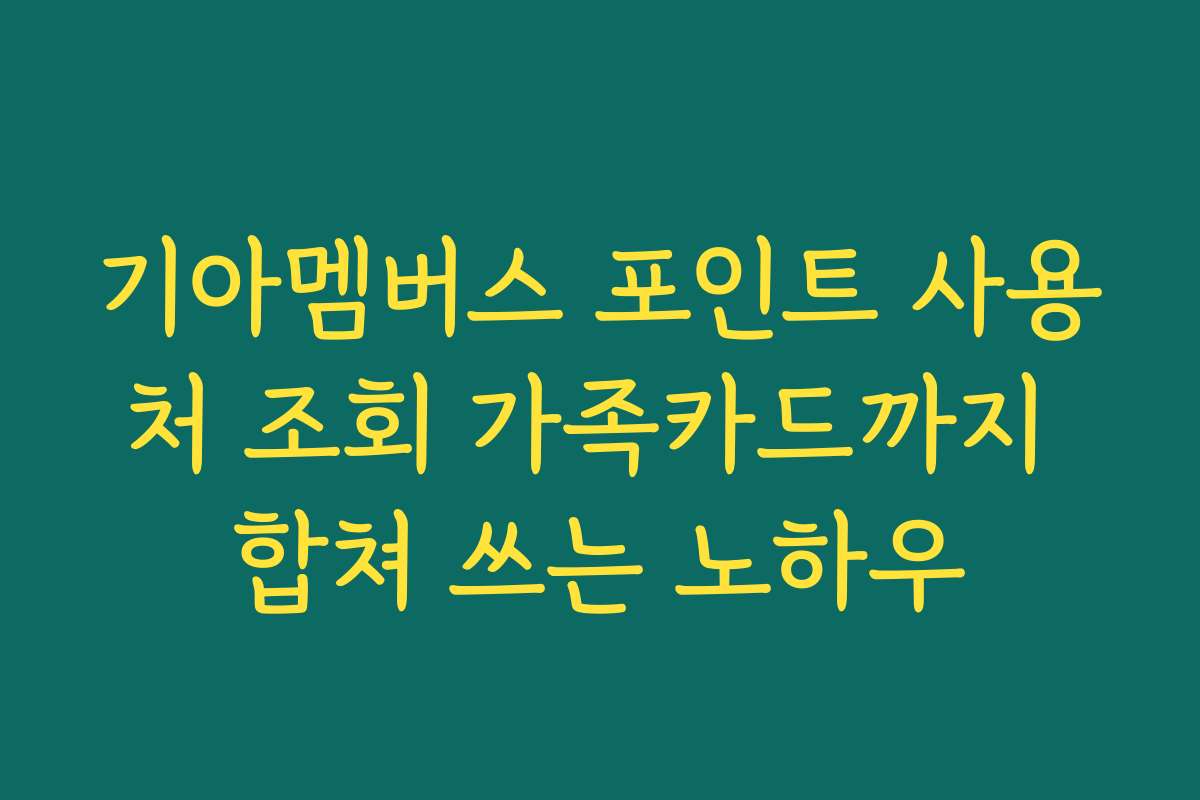기아멤버스 포인트 사용처 조회 가족카드까지 합쳐 쓰는 노하우