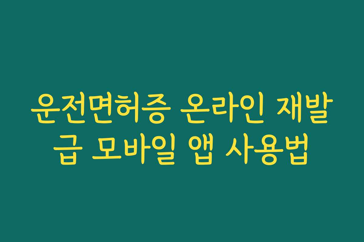 운전면허증 온라인 재발급 모바일 앱 사용법