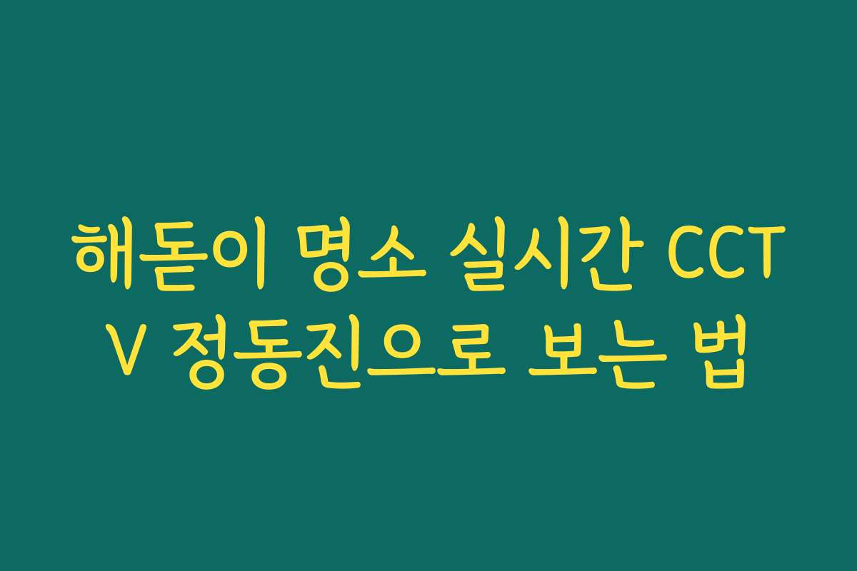 해돋이 명소 실시간 CCTV 정동진으로 보는 법