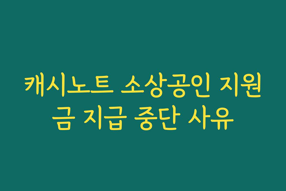 캐시노트 소상공인 지원금 지급 중단 사유