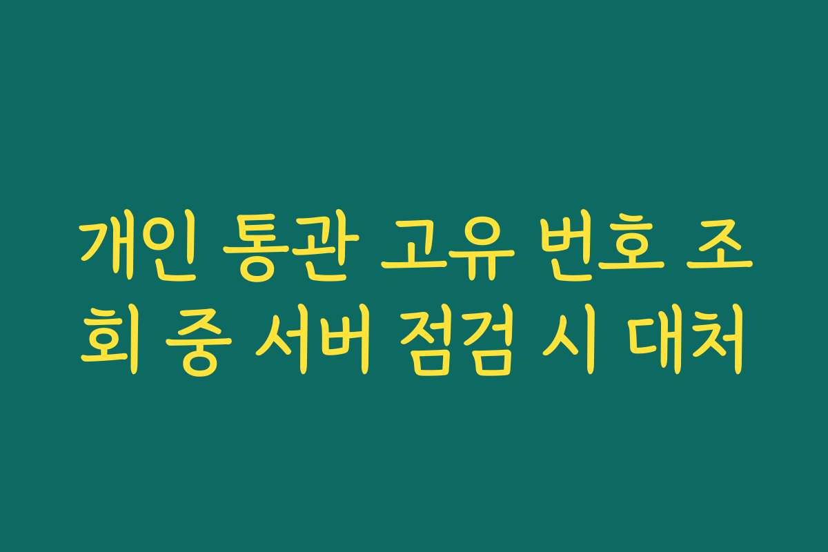 개인 통관 고유 번호 조회 중 서버 점검 시 대처