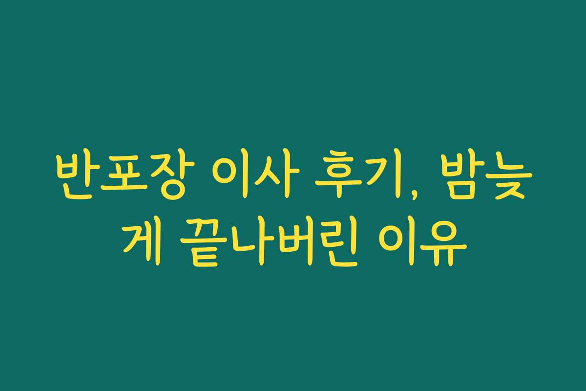 반포장 이사 후기, 밤늦게 끝나버린 이유