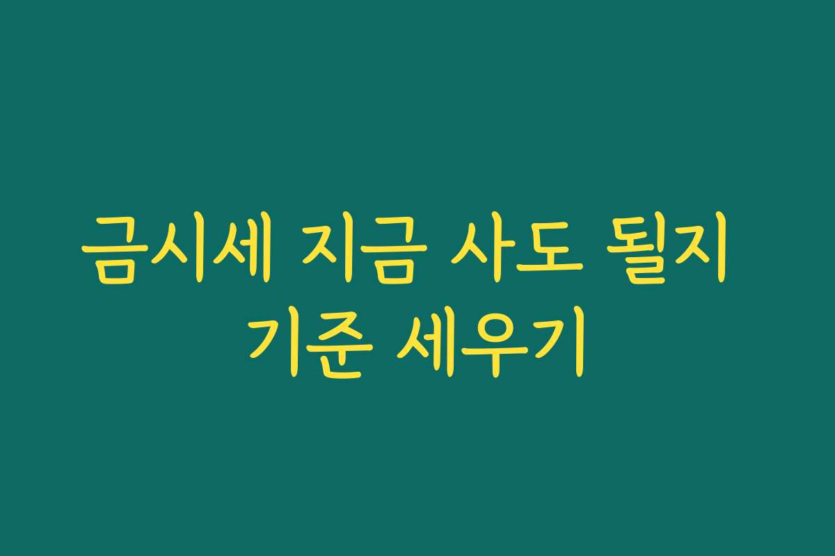 금시세 지금 사도 될지 기준 세우기