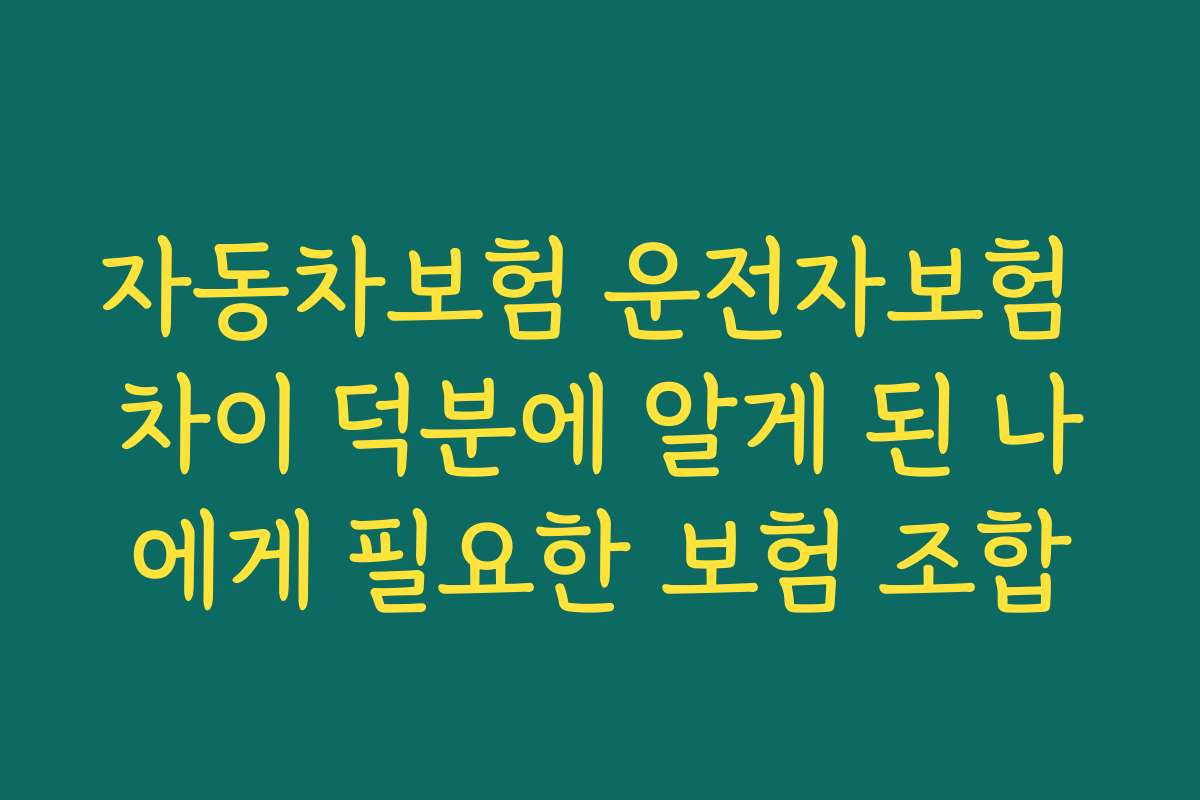 자동차보험 운전자보험 차이 덕분에 알게 된 나에게 필요한 보험 조합
