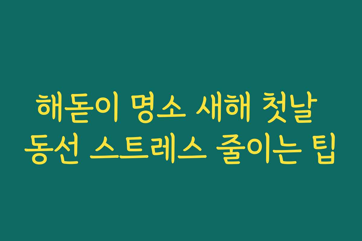 해돋이 명소 새해 첫날 동선 스트레스 줄이는 팁