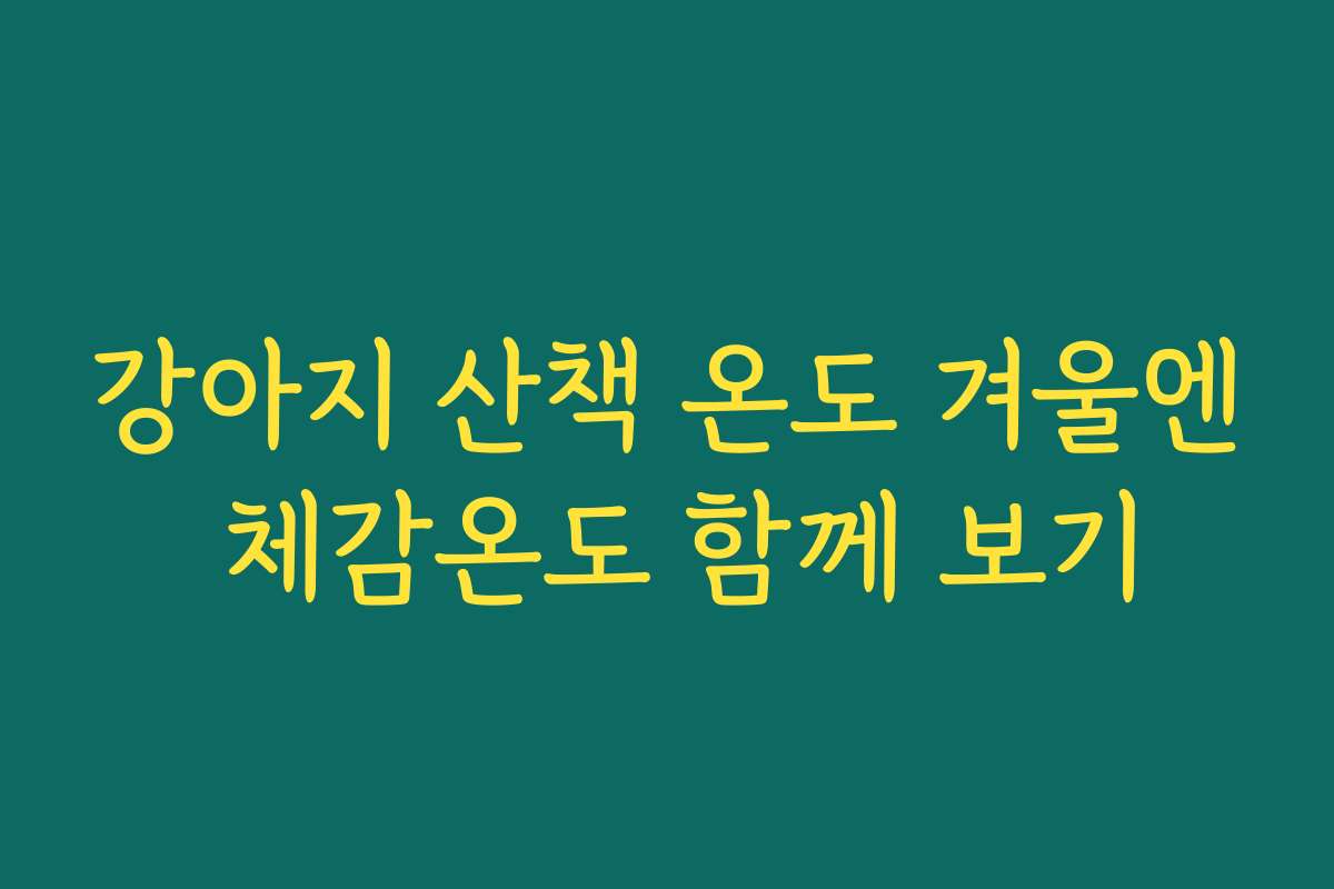 강아지 산책 온도 겨울엔 체감온도 함께 보기