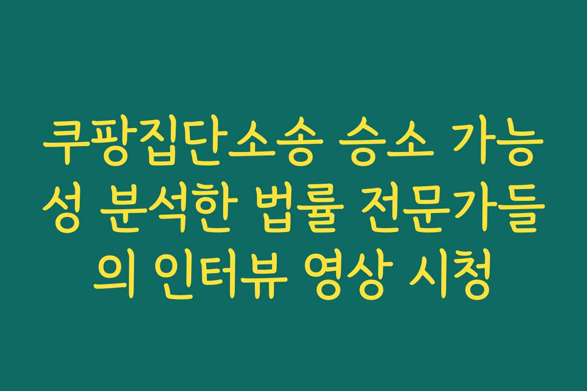 쿠팡집단소송 승소 가능성 분석한 법률 전문가들의 인터뷰 영상 시청