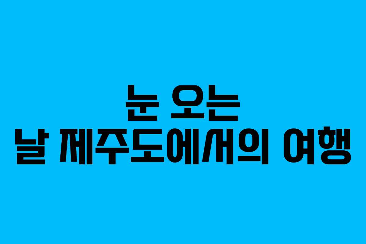 눈 오는 날 제주도에서의 여행