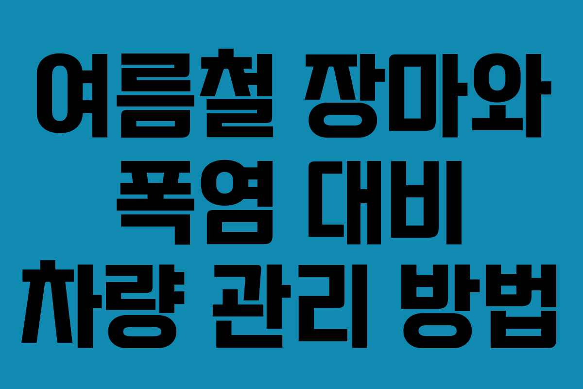 여름철 장마와 폭염 대비 차량 관리 방법