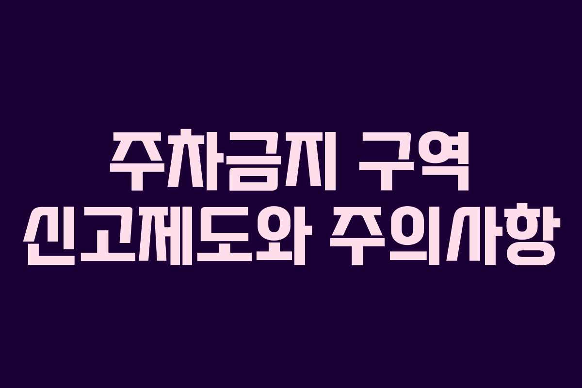 주차금지 구역 신고제도와 주의사항