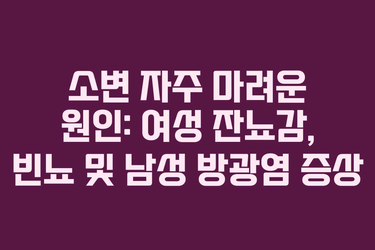 소변 자주 마려운 원인: 여성 잔뇨감, 빈뇨 및 남성 방광염 증상