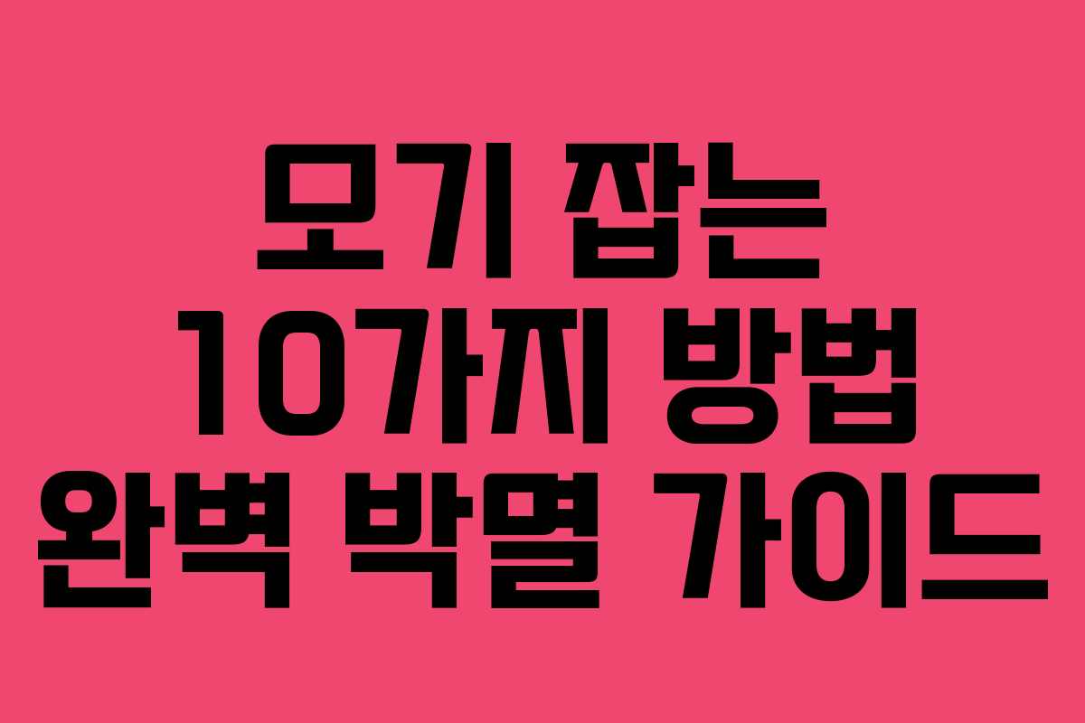모기 잡는 10가지 방법 완벽 박멸 가이드