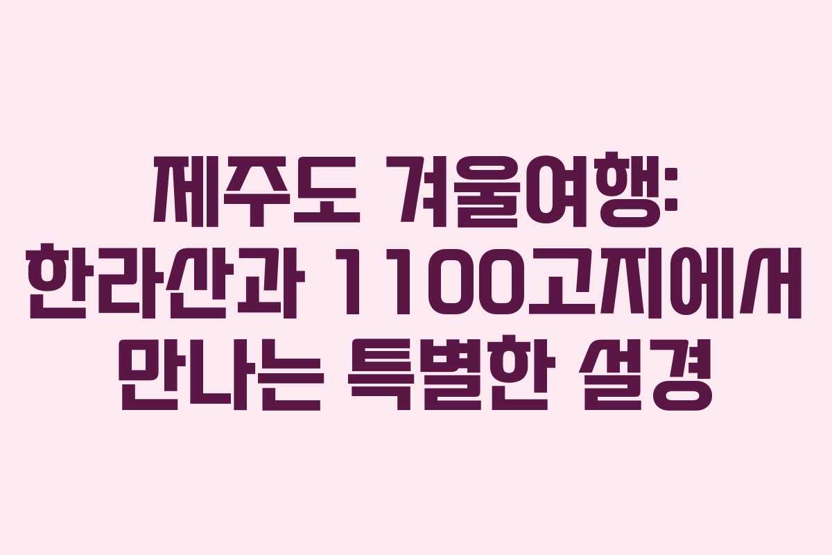 제주도 겨울여행: 한라산과 1100고지에서 만나는 특별한 설경
