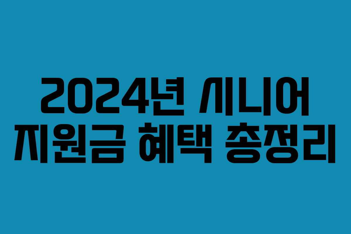 2024년 시니어 지원금 혜택 총정리