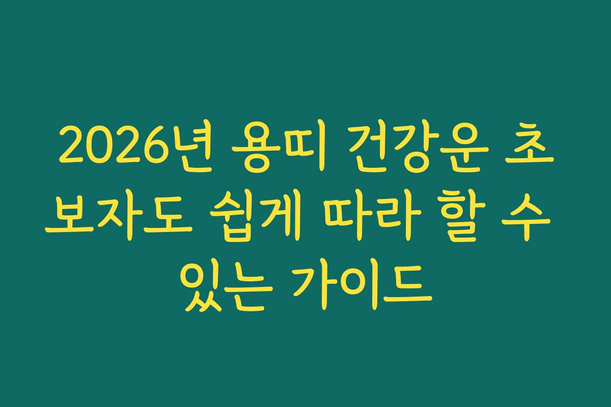 2026년 용띠 건강운 초보자도 쉽게 따라 할 수 있는 가이드