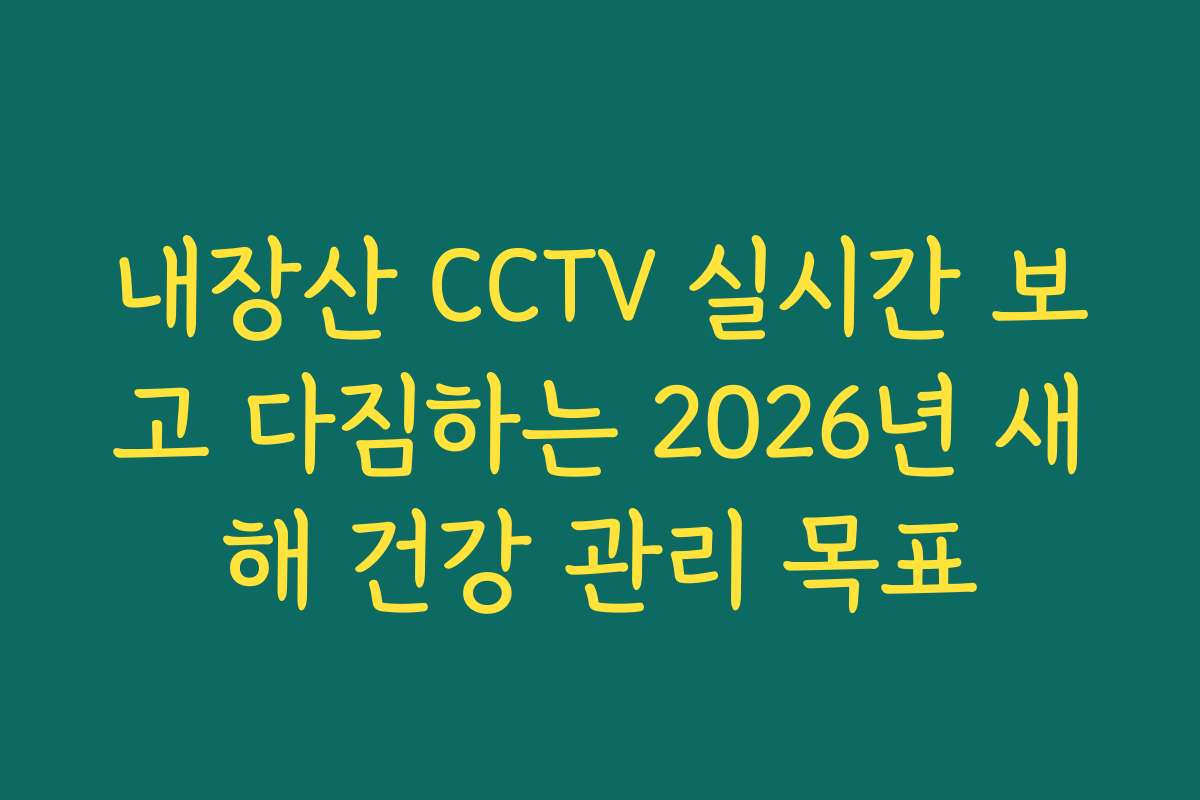 내장산 CCTV 실시간 보고 다짐하는 2026년 새해 건강 관리 목표
