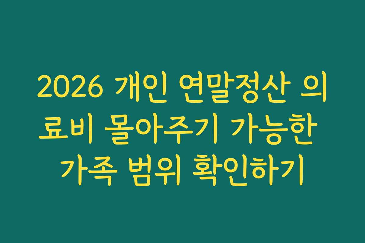 2026 개인 연말정산 의료비 몰아주기 가능한 가족 범위 확인하기