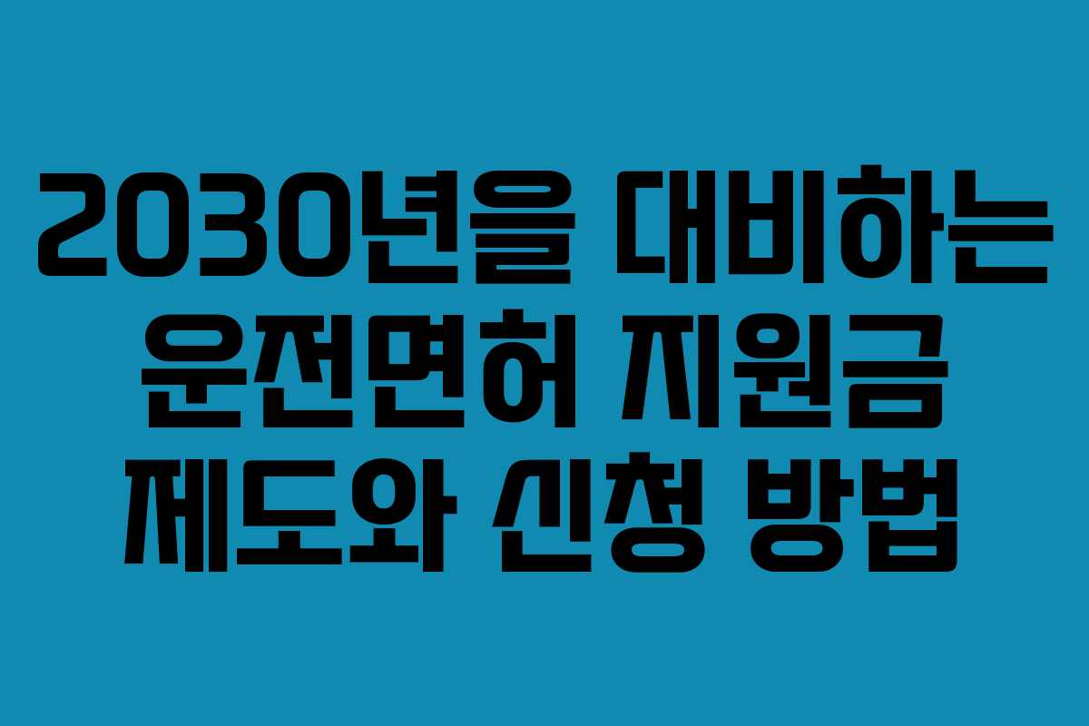 2030년을 대비하는 운전면허 지원금 제도와 신청 방법
