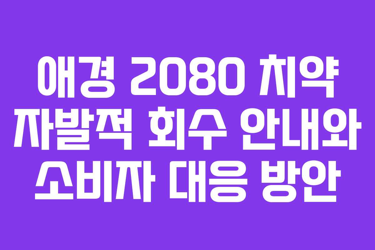 애경 2080 치약 자발적 회수 안내와 소비자 대응 방안