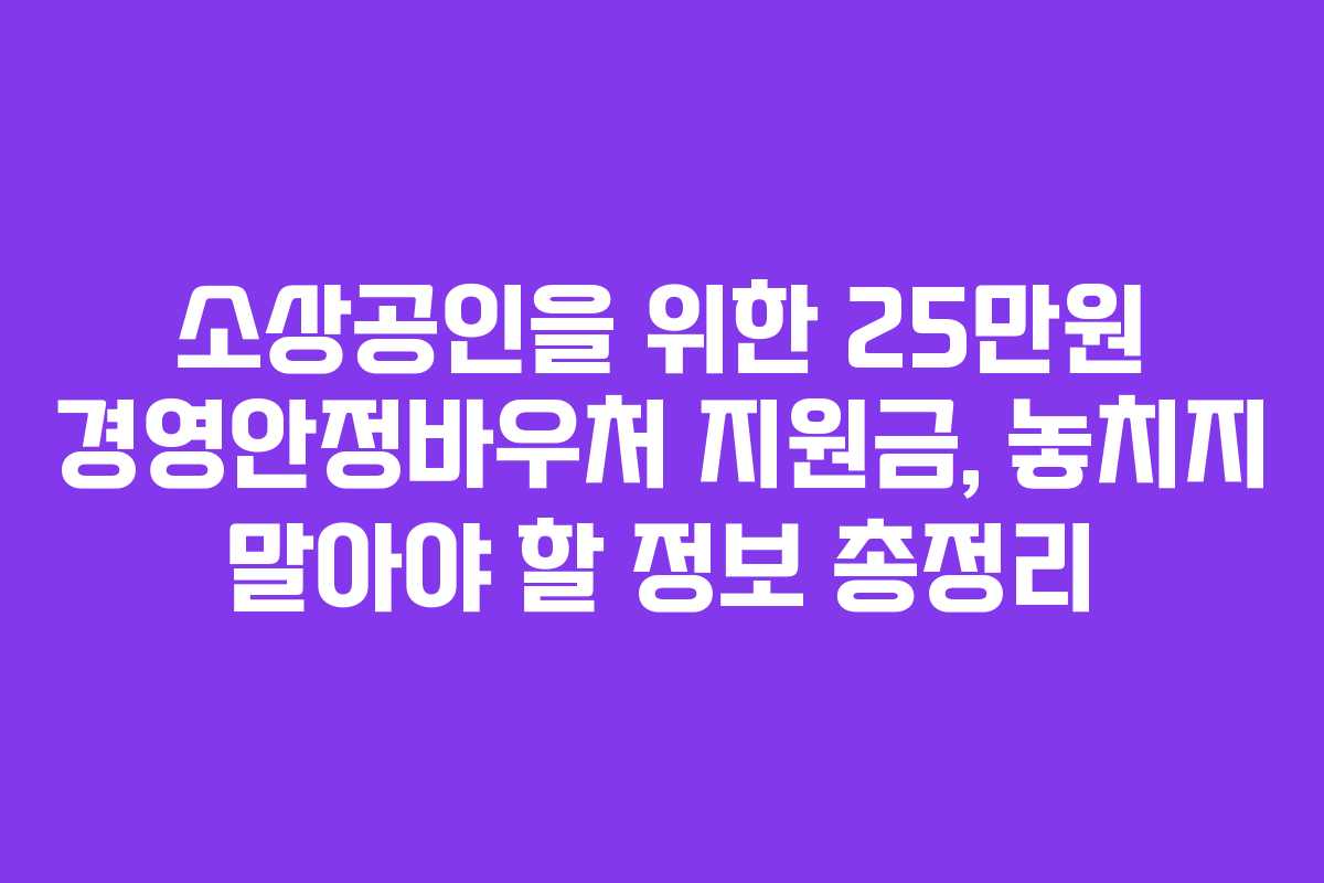소상공인을 위한 25만원 경영안정바우처 지원금, 놓치지 말아야 할 정보 총정리
