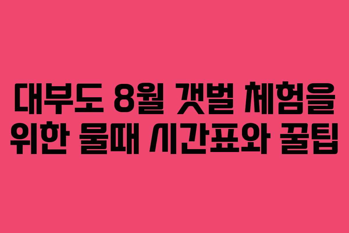 대부도 8월 갯벌 체험을 위한 물때 시간표와 꿀팁