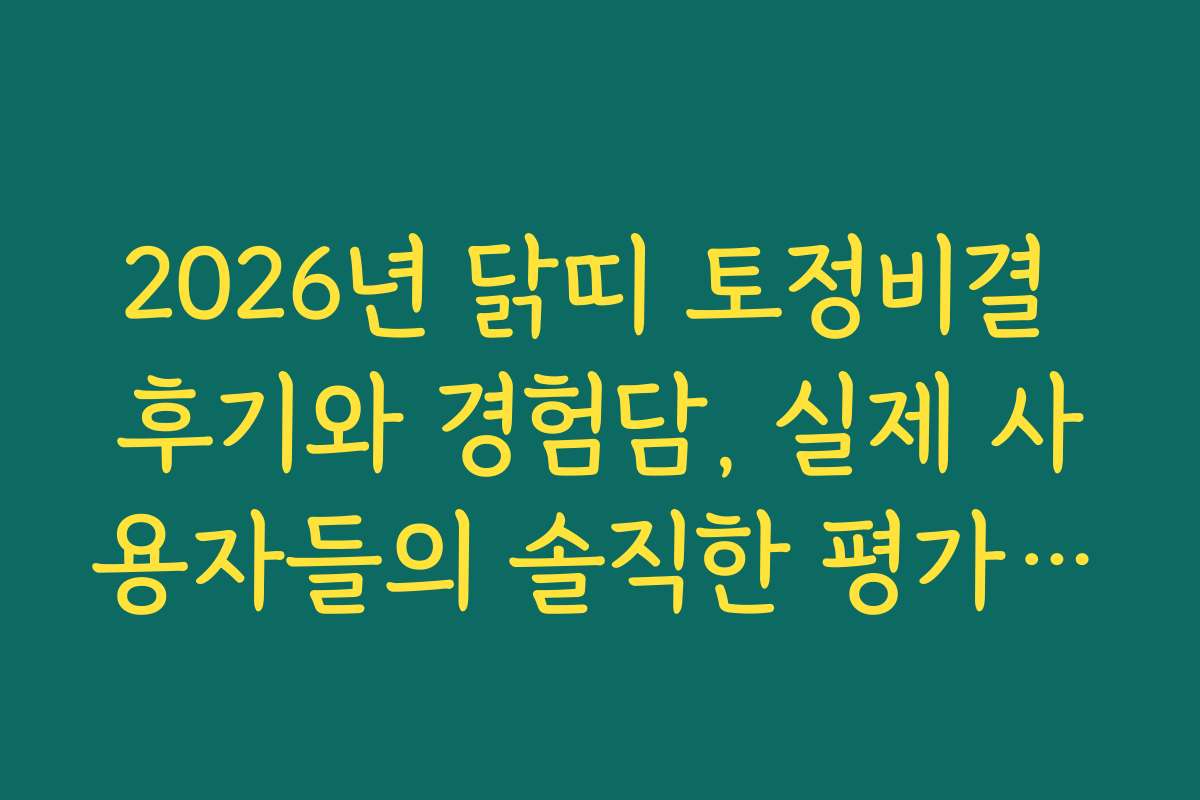 2026년 닭띠 토정비결 후기와 경험담, 실제 사용자들의 솔직한 평가 모음