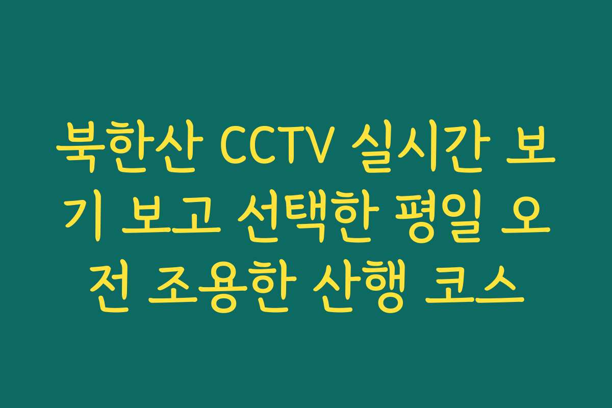 북한산 CCTV 실시간 보기 보고 선택한 평일 오전 조용한 산행 코스