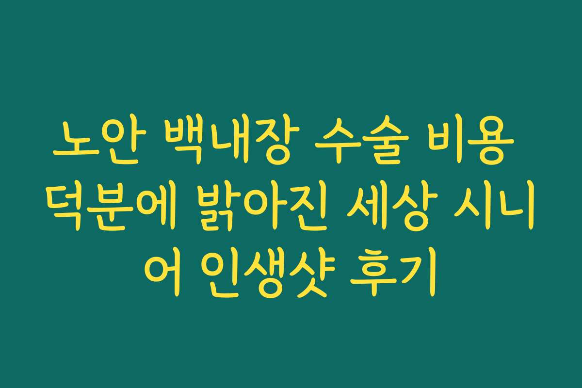 노안 백내장 수술 비용 덕분에 밝아진 세상 시니어 인생샷 후기