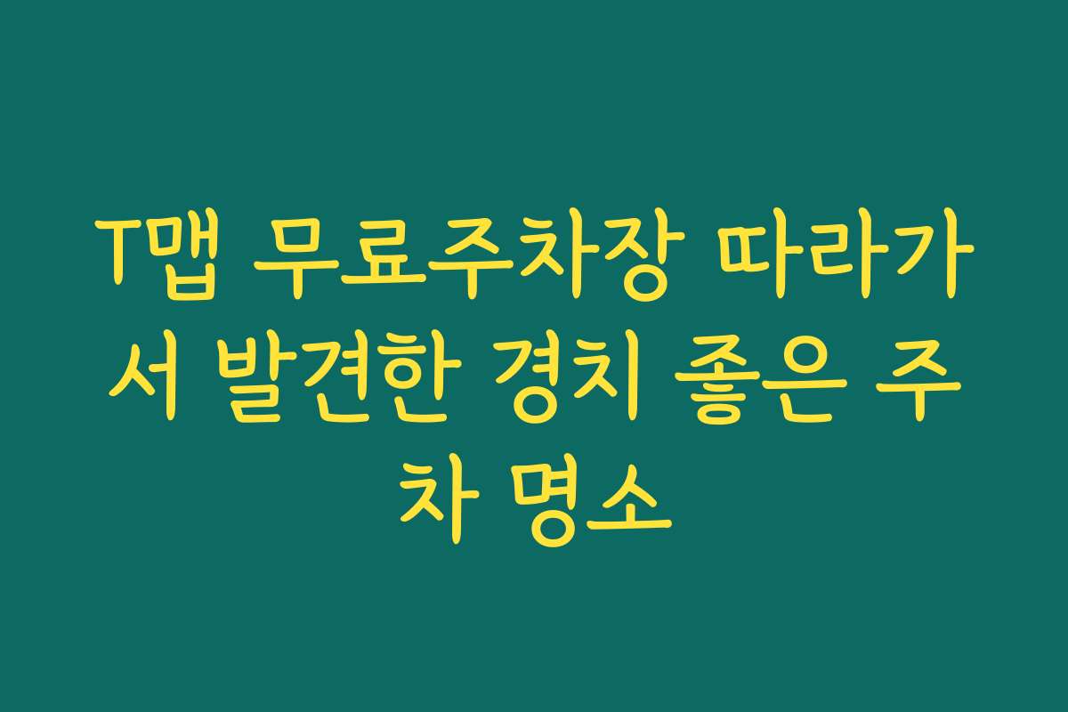 T맵 무료주차장 따라가서 발견한 경치 좋은 주차 명소