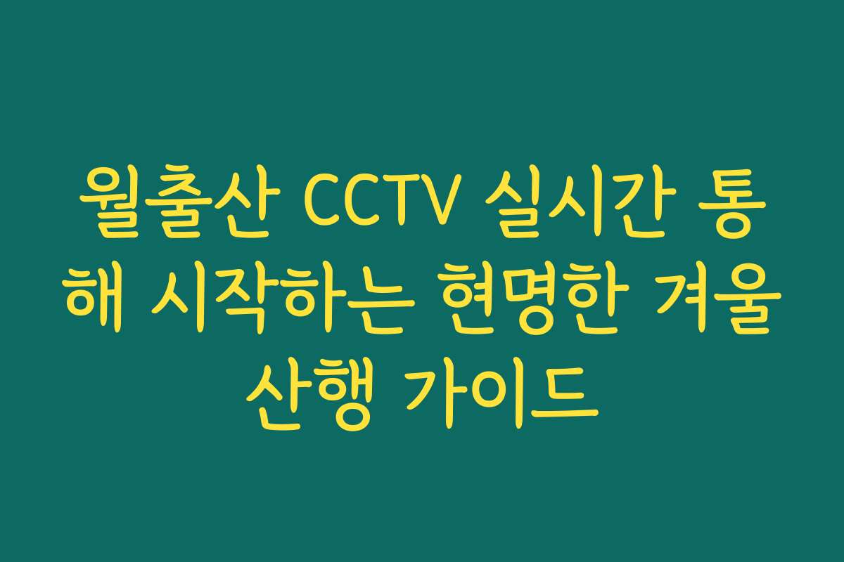 월출산 CCTV 실시간 통해 시작하는 현명한 겨울산행 가이드