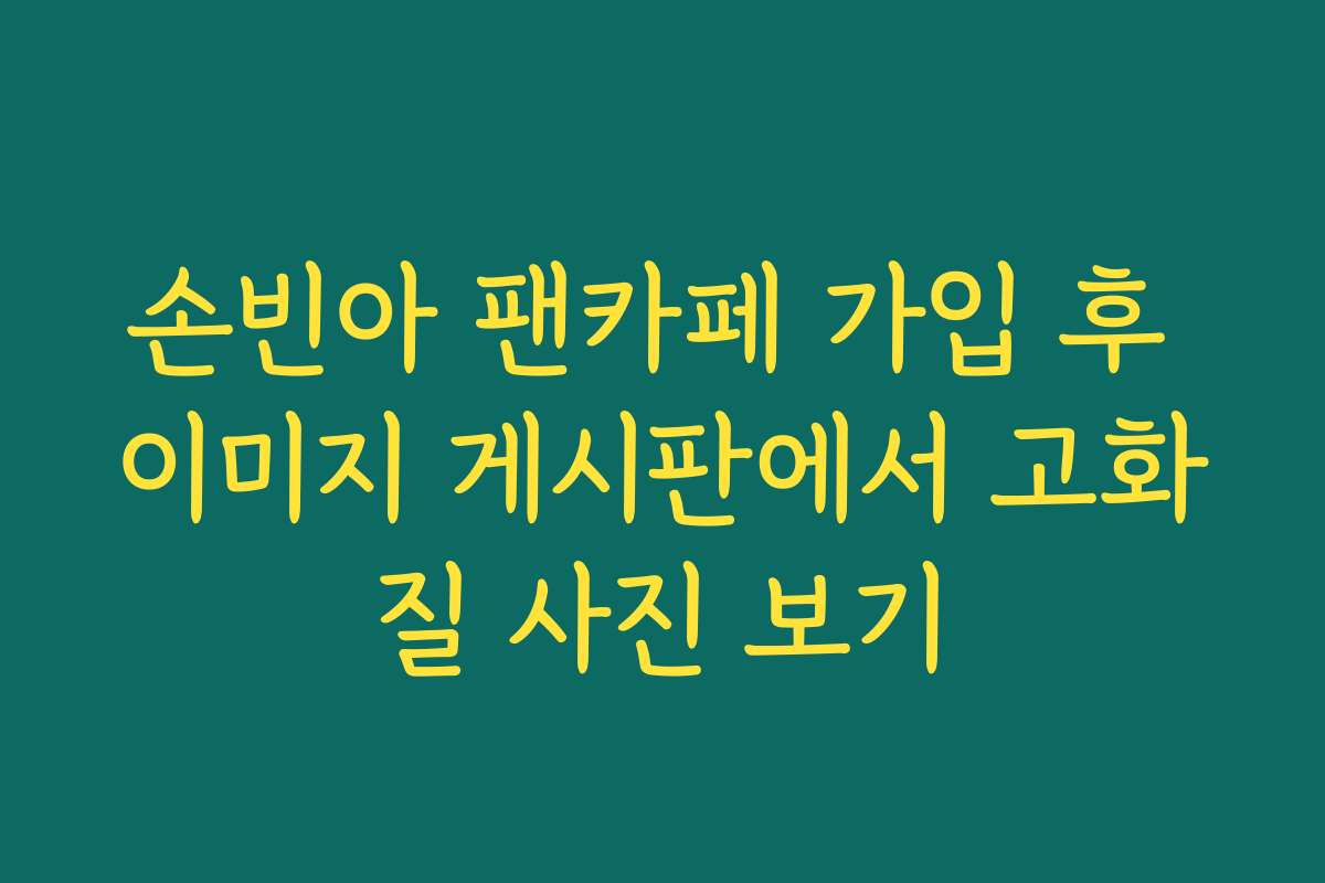 손빈아 팬카페 가입 후 이미지 게시판에서 고화질 사진 보기