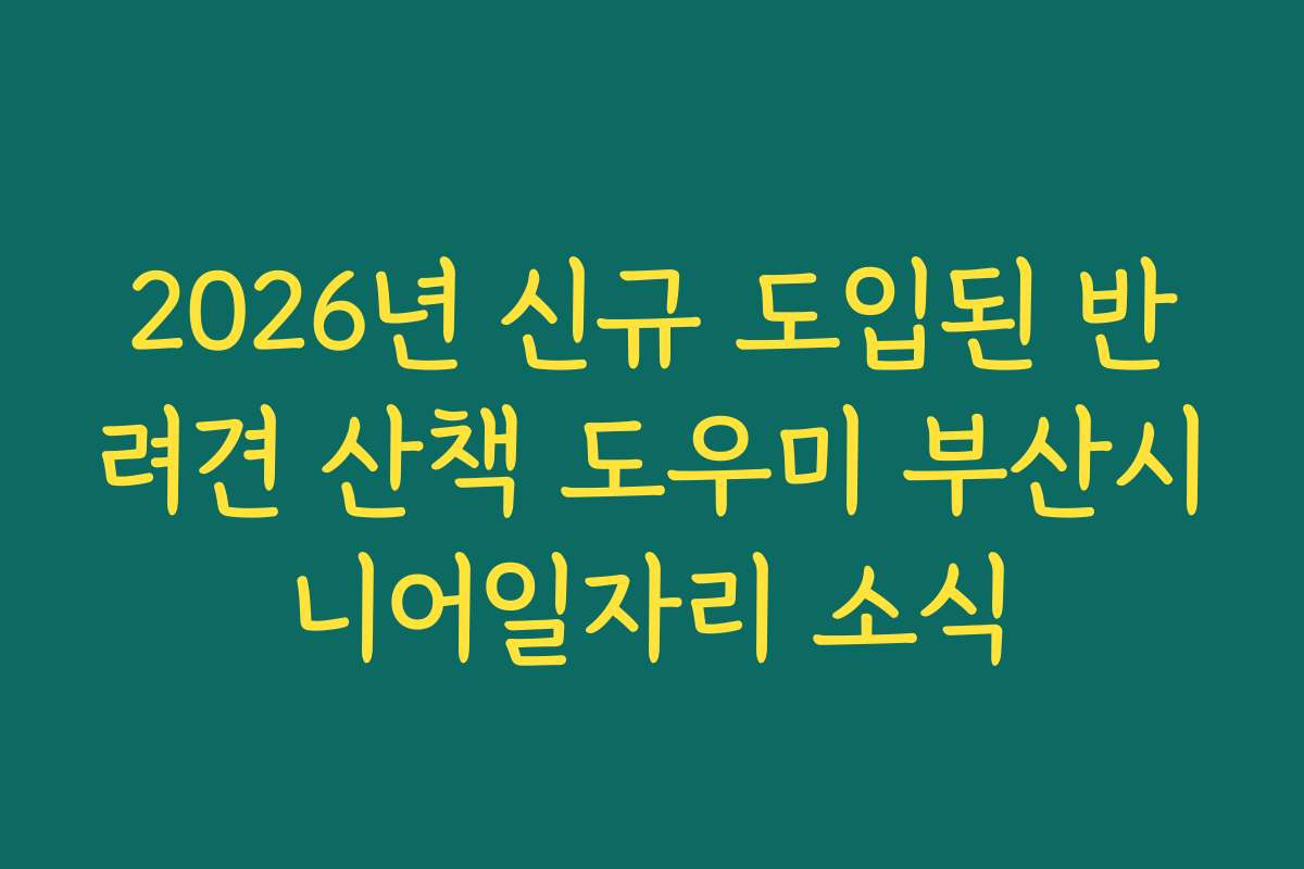 2026년 신규 도입된 반려견 산책 도우미 부산시니어일자리 소식