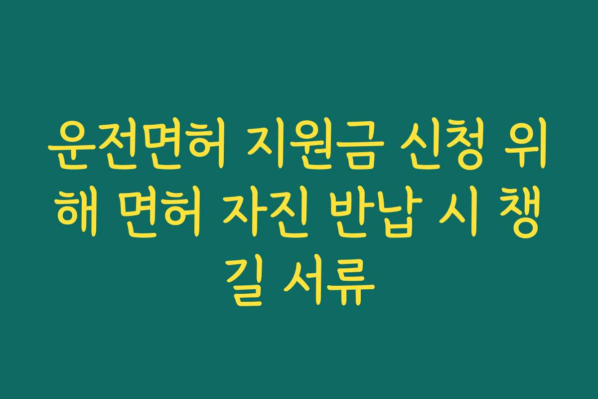 운전면허 지원금 신청 위해 면허 자진 반납 시 챙길 서류