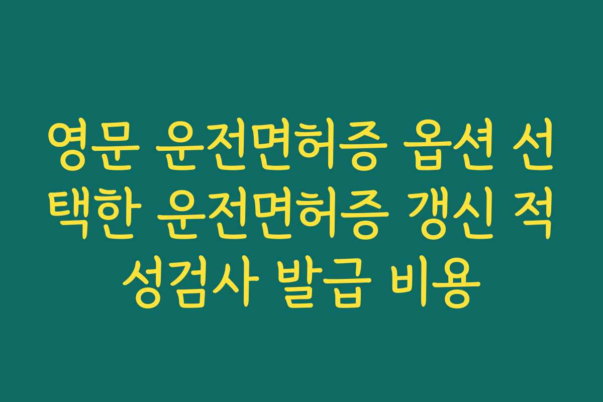 영문 운전면허증 옵션 선택한 운전면허증 갱신 적성검사 발급 비용