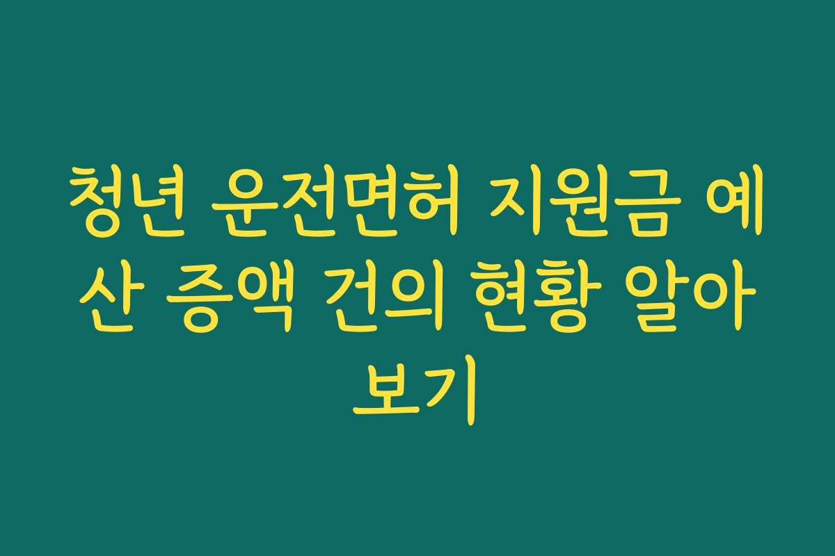 청년 운전면허 지원금 예산 증액 건의 현황 알아보기