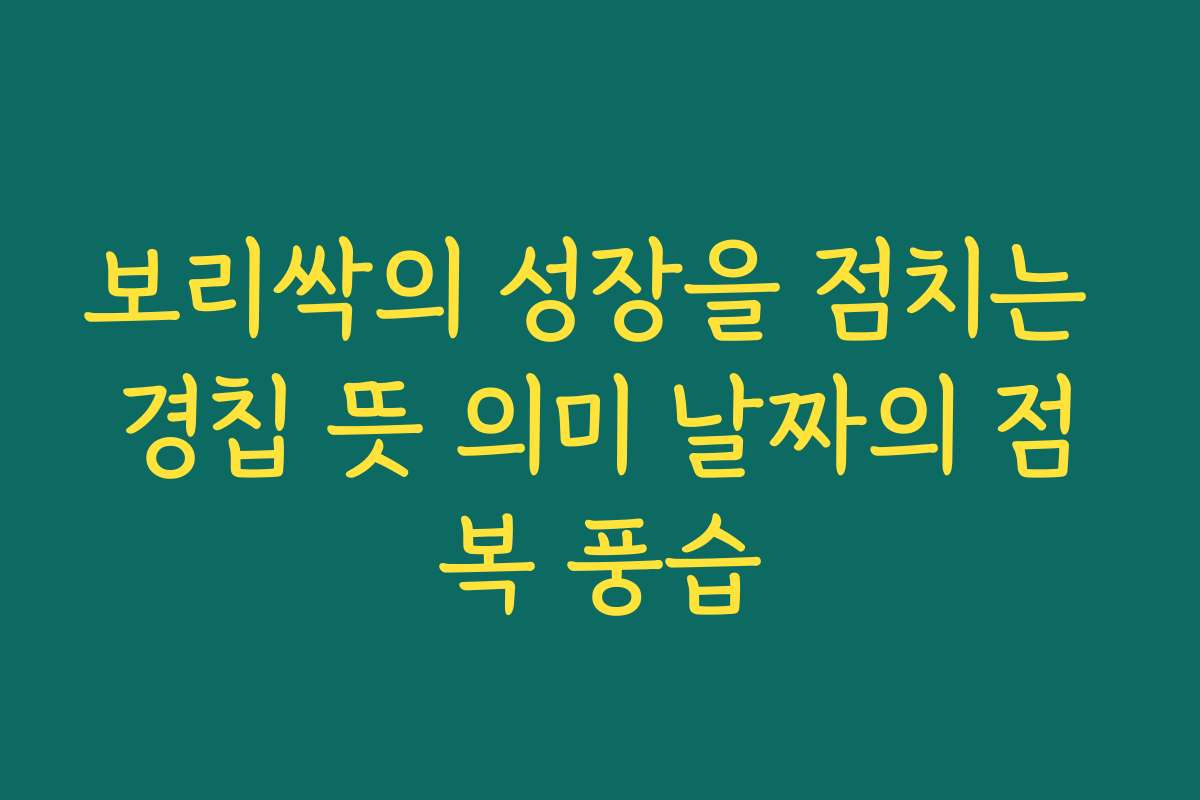 보리싹의 성장을 점치는 경칩 뜻 의미 날짜의 점복 풍습