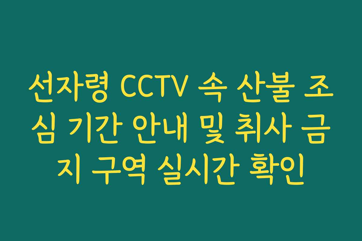 선자령 CCTV 속 산불 조심 기간 안내 및 취사 금지 구역 실시간 확인
