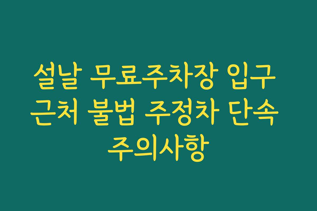설날 무료주차장 입구 근처 불법 주정차 단속 주의사항