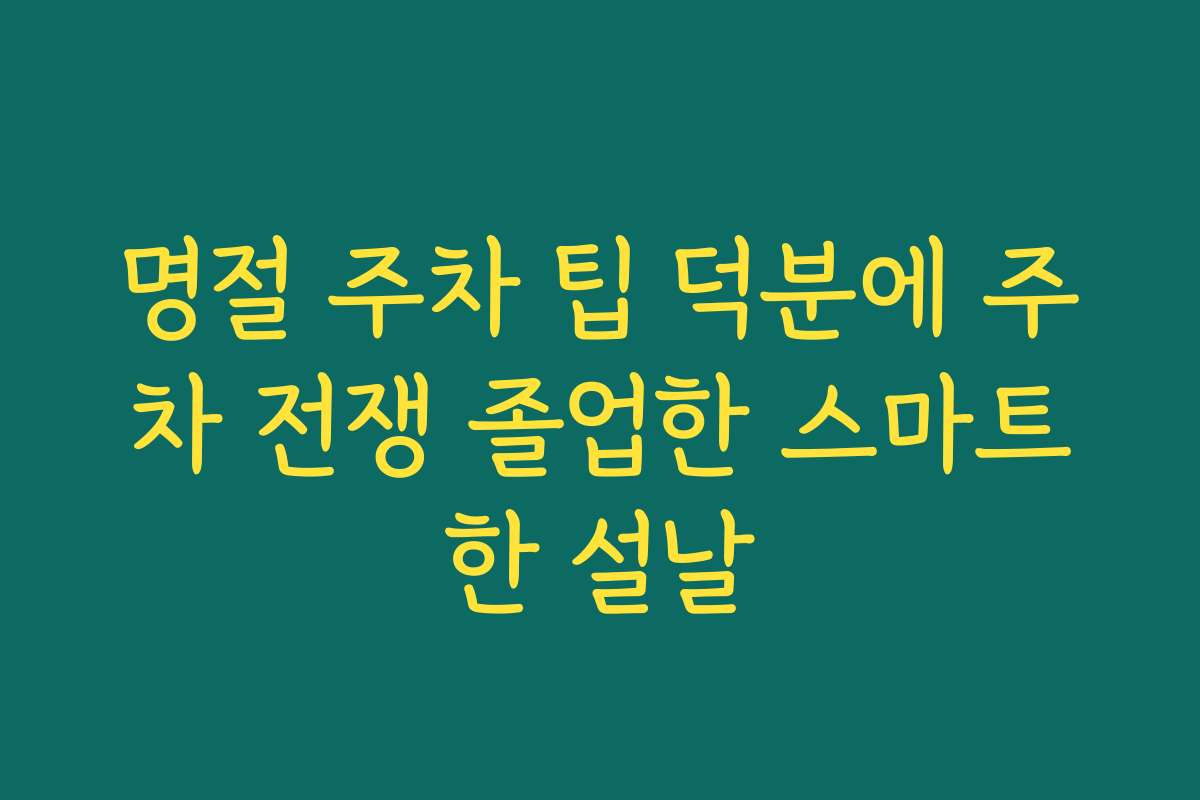 명절 주차 팁 덕분에 주차 전쟁 졸업한 스마트한 설날