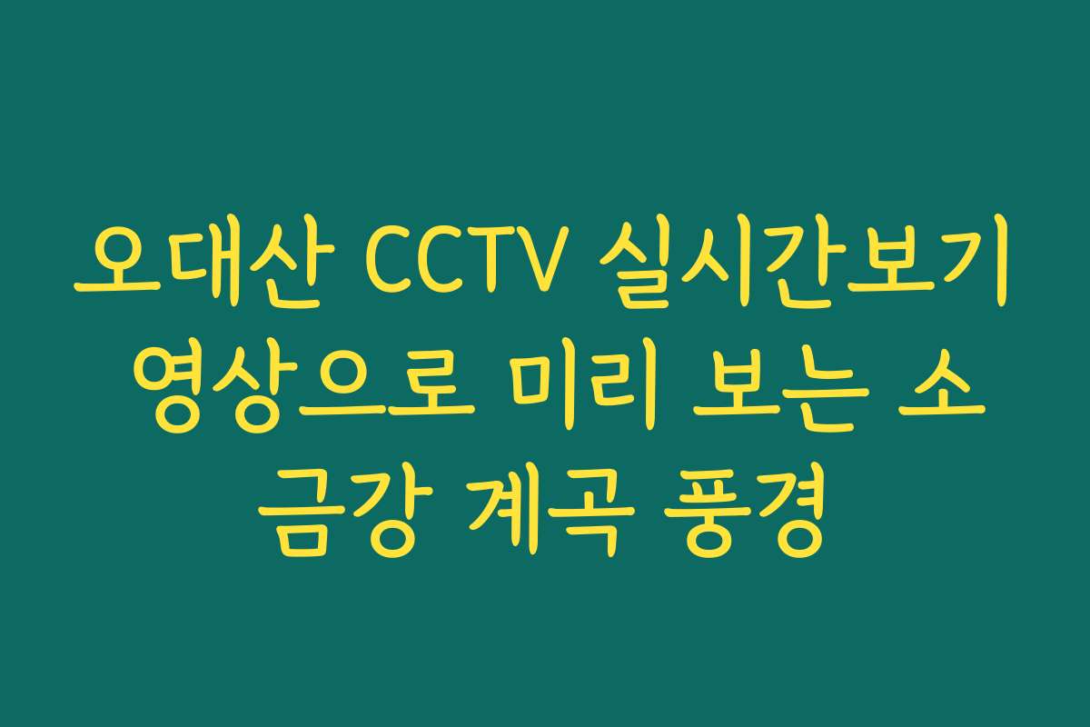 오대산 CCTV 실시간보기 영상으로 미리 보는 소금강 계곡 풍경