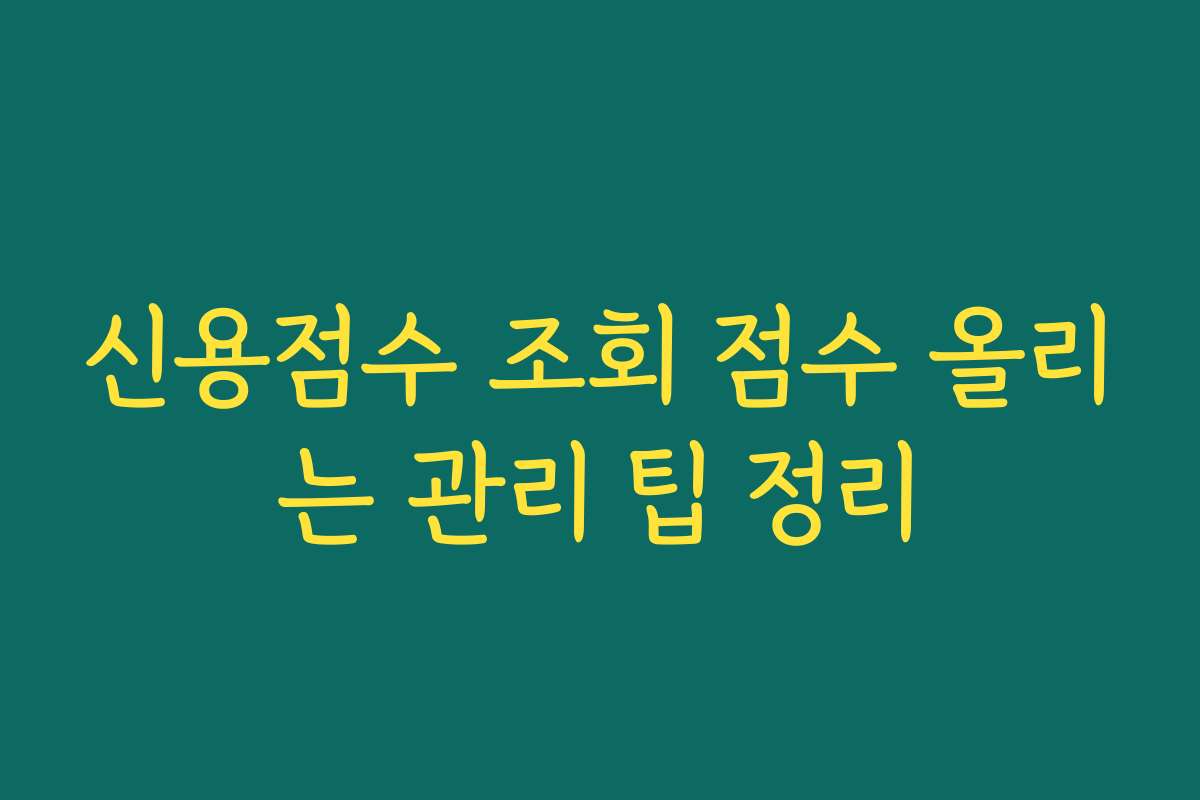 신용점수 조회 점수 올리는 관리 팁 정리