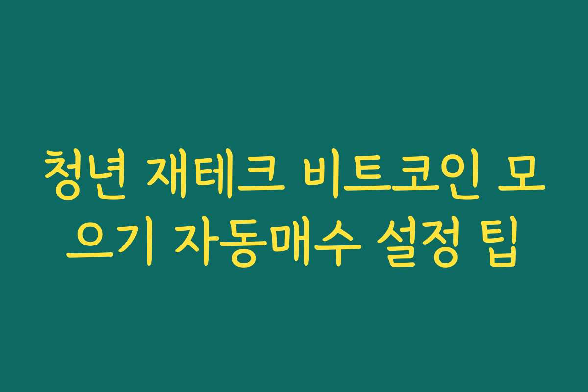 청년 재테크 비트코인 모으기 자동매수 설정 팁