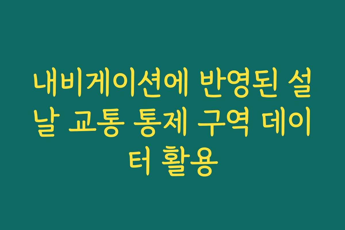 내비게이션에 반영된 설날 교통 통제 구역 데이터 활용