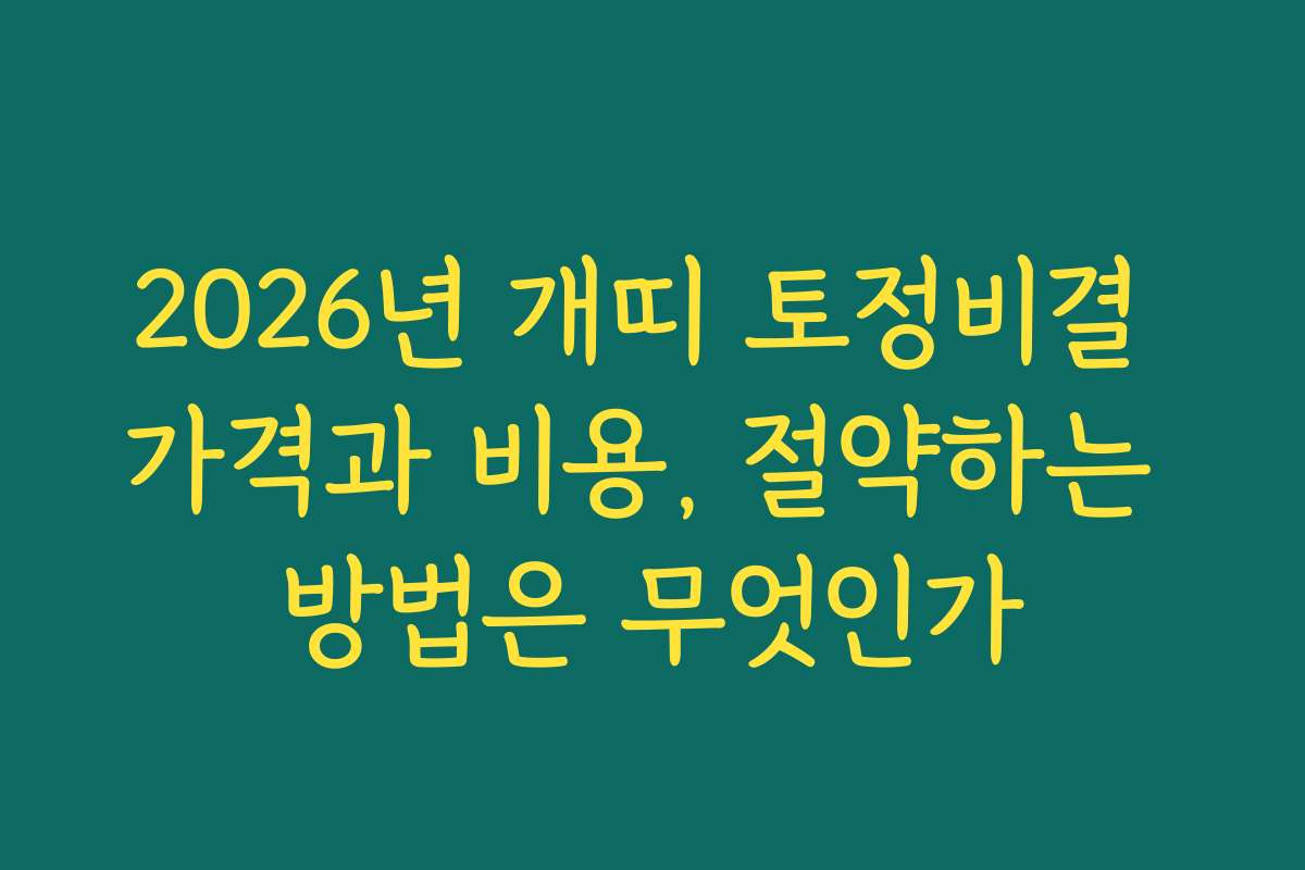 2026년 개띠 토정비결 가격과 비용, 절약하는 방법은 무엇인가