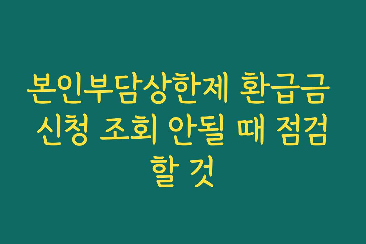본인부담상한제 환급금 신청 조회 안될 때 점검할 것
