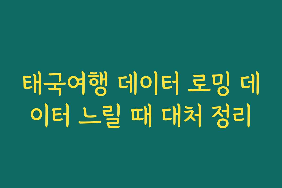 태국여행 데이터 로밍 데이터 느릴 때 대처 정리